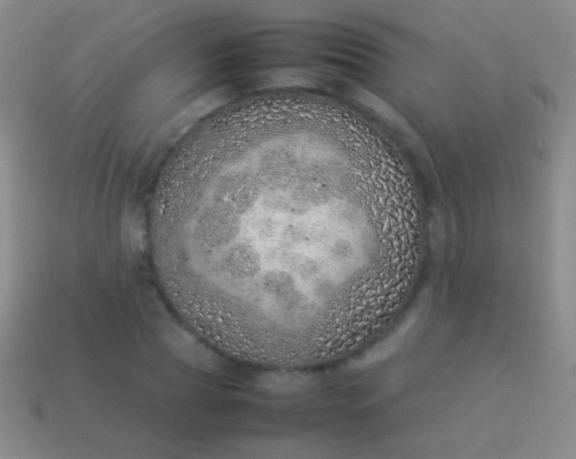 X0000114220929200910231440