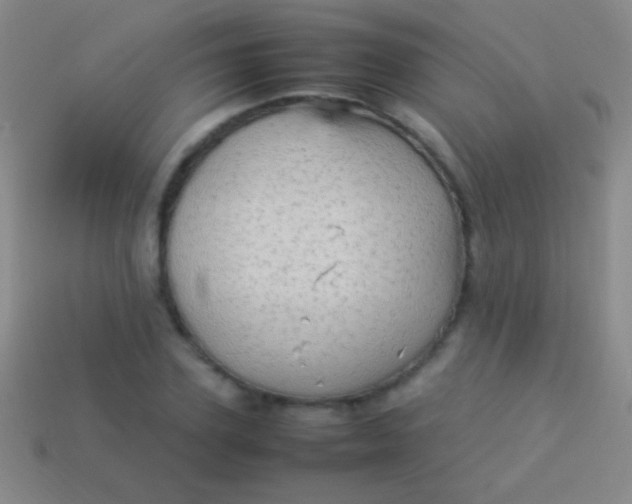 X0000114220931200910231440