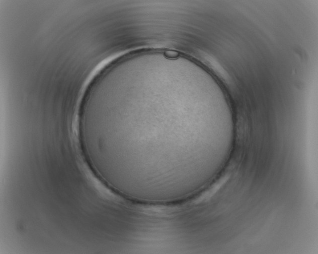 X0000114220932200910231440