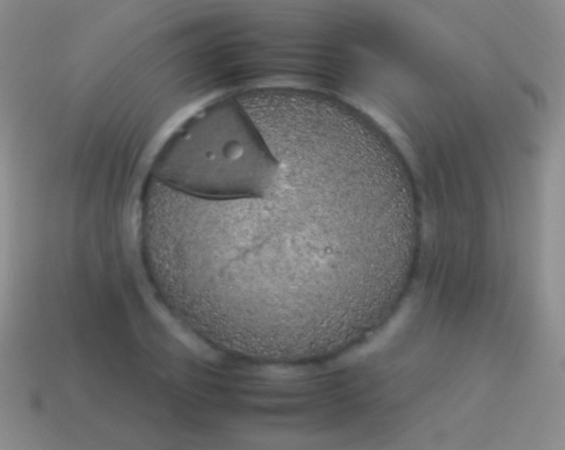 X0000114220933200910231440