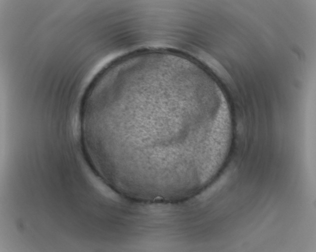 X0000114220934200910231440