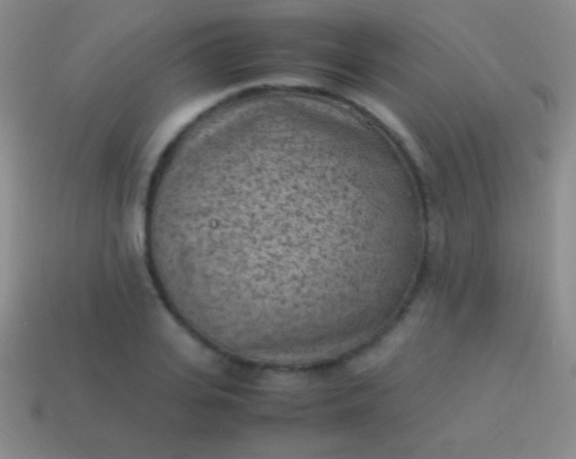 X0000114220935200910231440