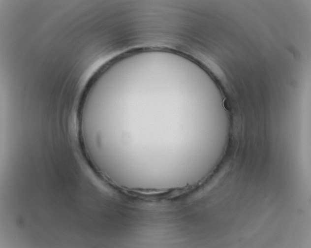 X0000114220936200910231440