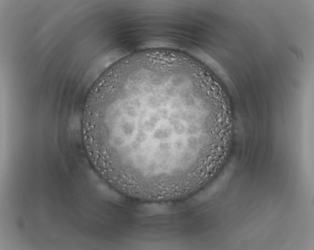 X0000114220937200910231440