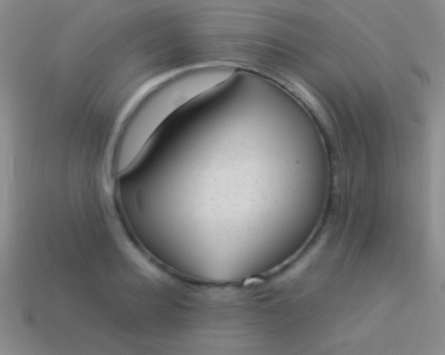 X0000114220940200910231440