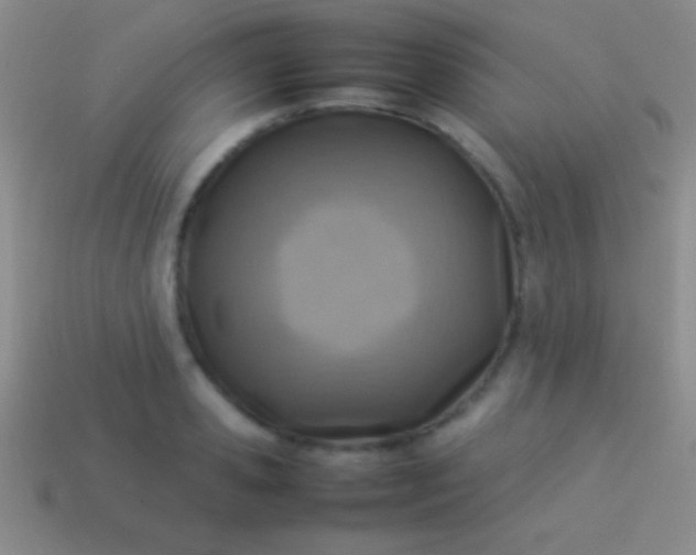 X0000114220941200910231440