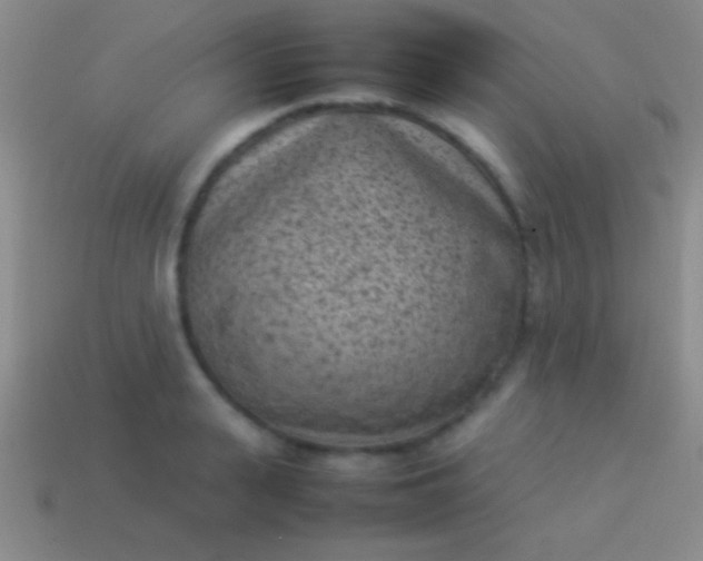 X0000114220943200910231440