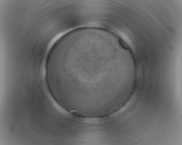 X0000114220944200910231440