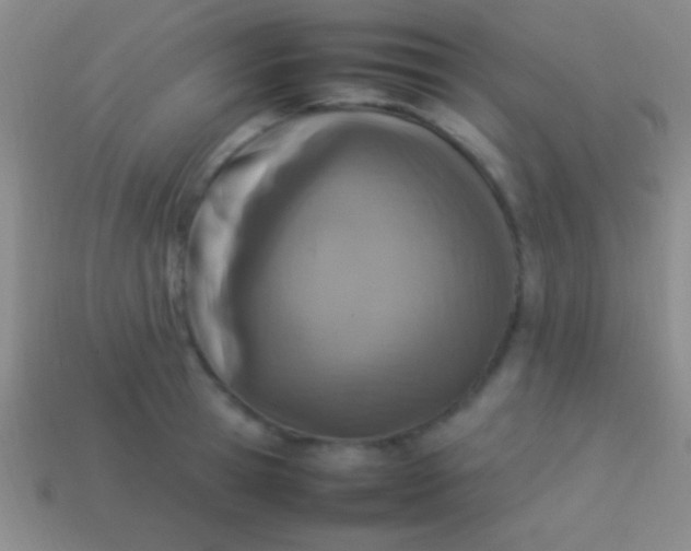 X0000114220945200910231440