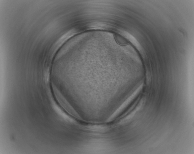 X0000114220946200910231440