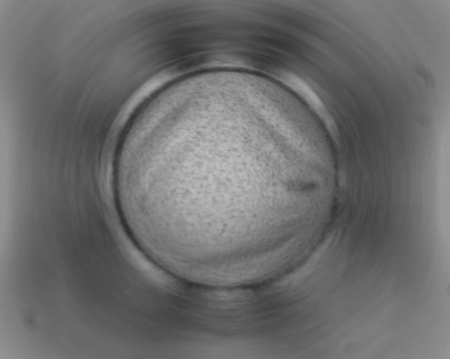 X0000114220947200910231440