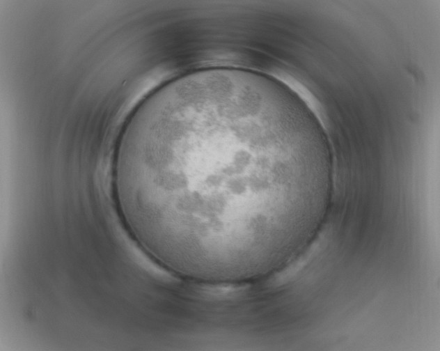 X0000114220949200910231440