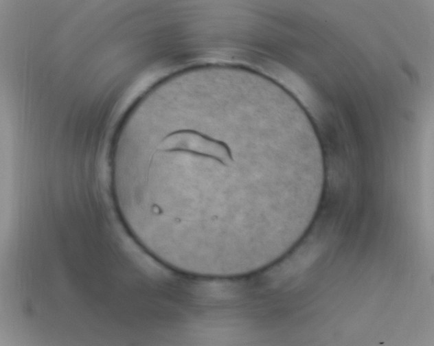 X0000114220950200910231440