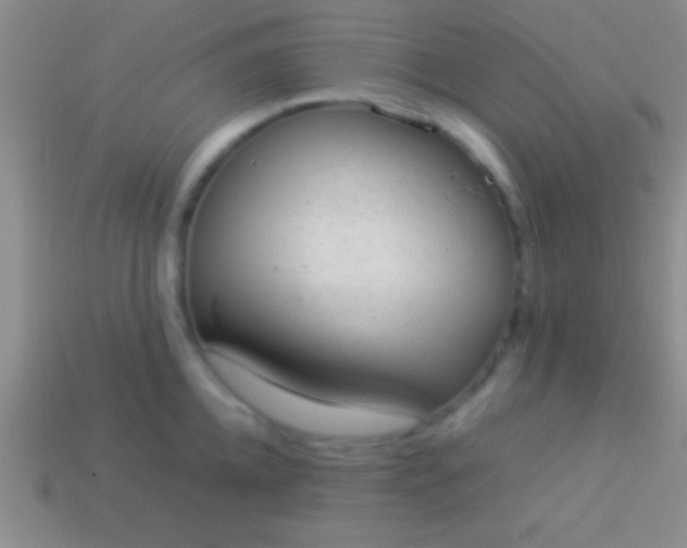 X0000114220952200910231440