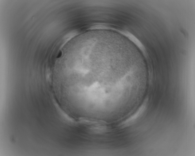 X0000114220953200910231440