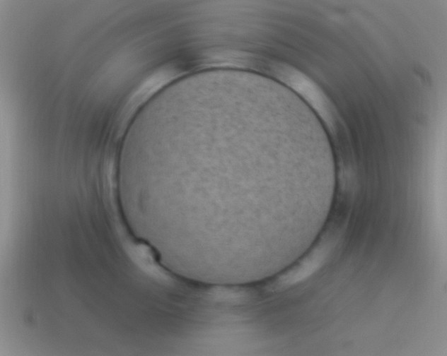 X0000114220954200910231440