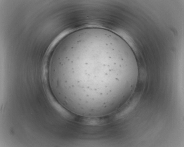 X0000114220955200910231440