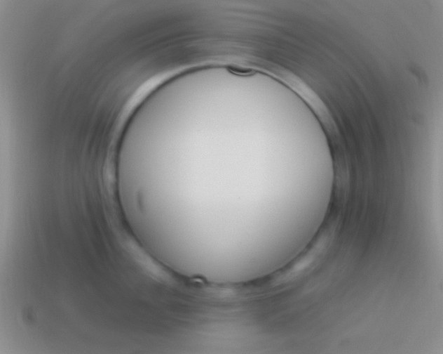 X0000114220956200910231440