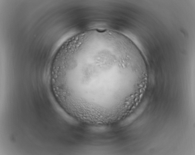 X0000114220957200910231440