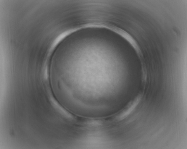 X0000114220958200910231440