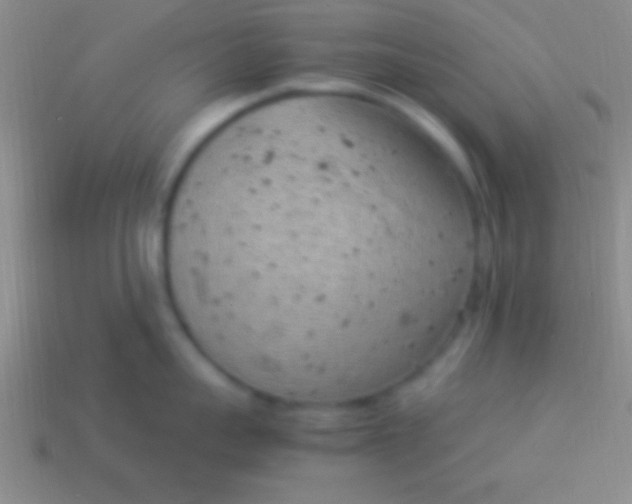 X0000114220959200910231440