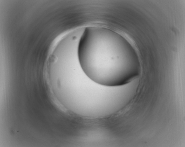 X0000114220960200910231440