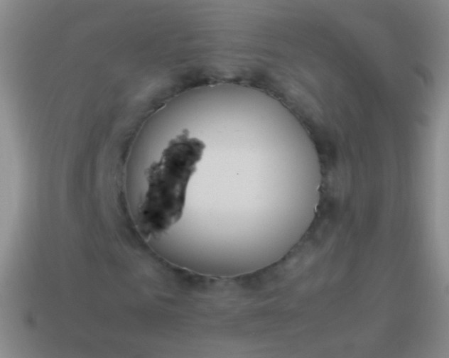 X0000114220961200910231440