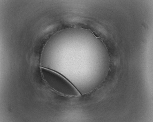 X0000114220965200910231440