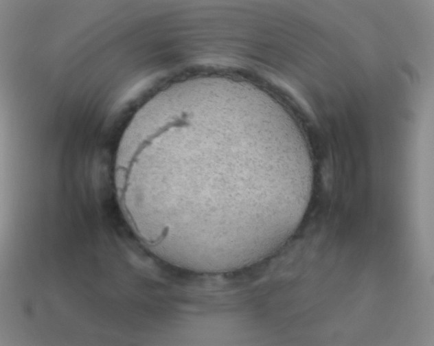 X0000114220968200910231440