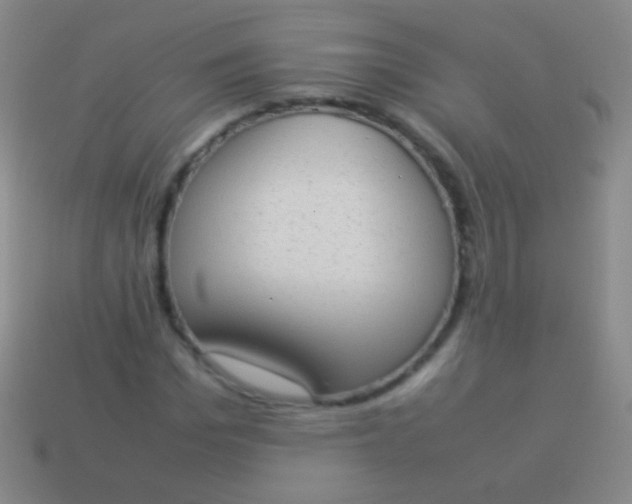 X0000114220969200910231440