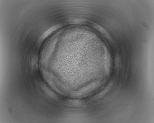 X0000114220970200910231440