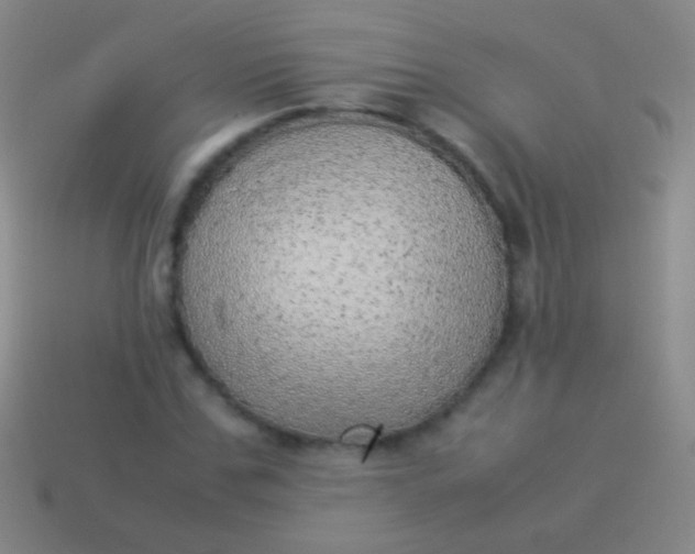 X0000114220971200910231440