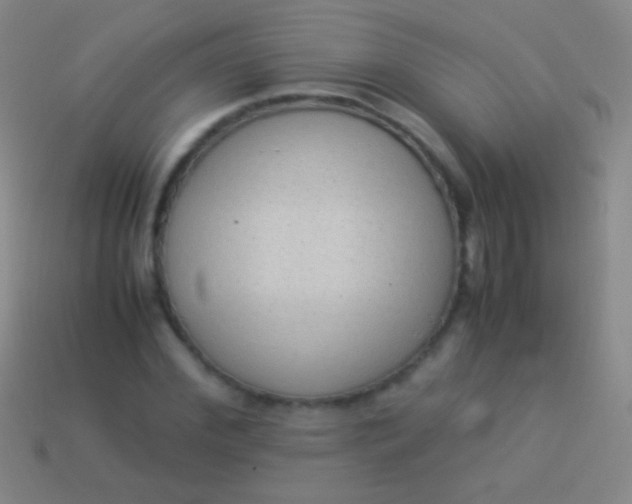 X0000114220972200910231440