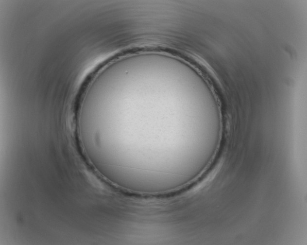 X0000114220973200910231440