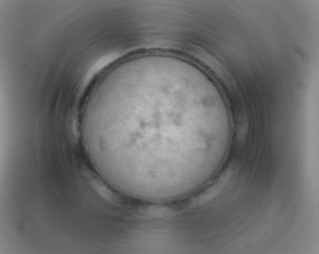 X0000114220974200910231440