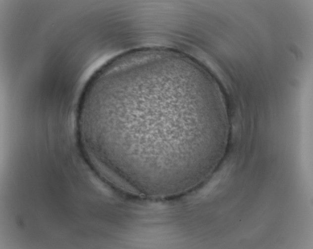 X0000114220975200910231440