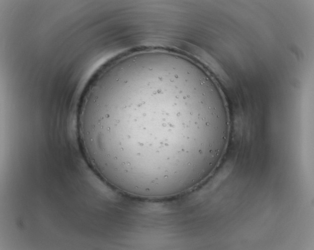 X0000114220976200910231440