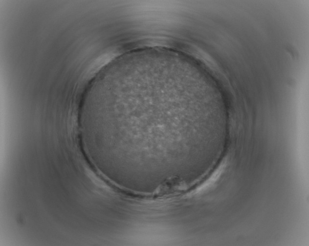 X0000114220977200910231440