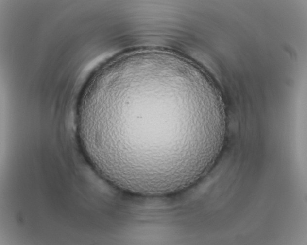 X0000114220979200910231440