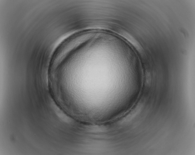 X0000114220980200910231439