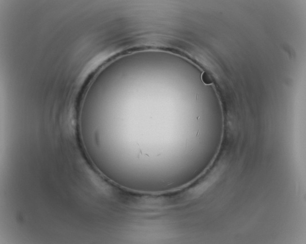 X0000114220981200910231439