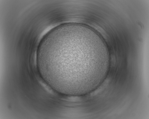 X0000114220982200910231439