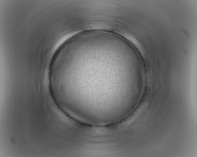 X0000114220983200910231439