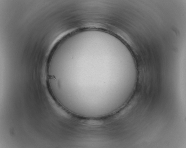 X0000114220984200910231439