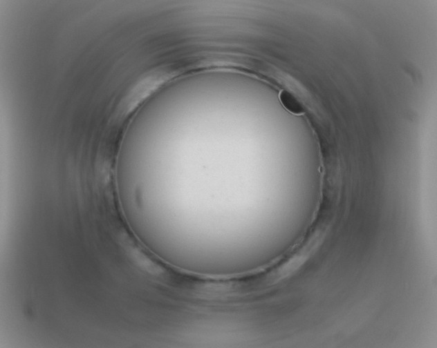 X0000114220985200910231439