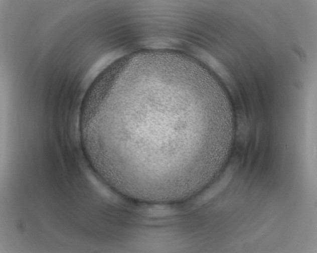 X0000114220986200910231439