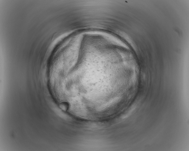 X0000114220987200910231439