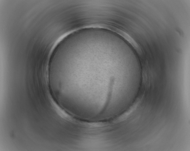 X0000114220988200910231439