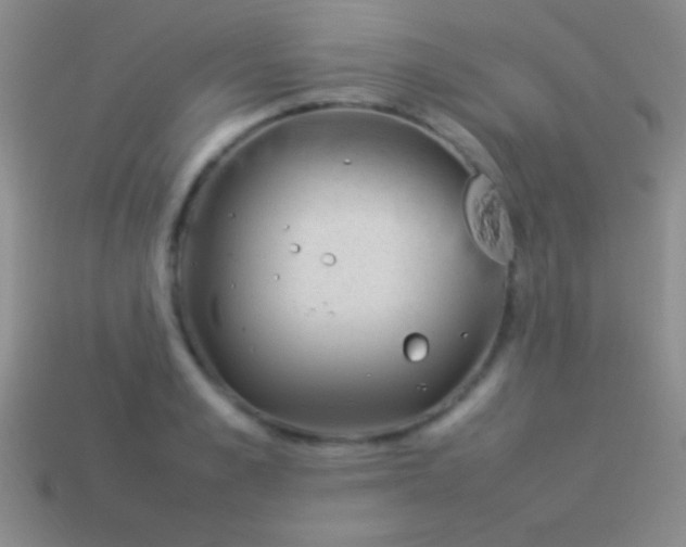 X0000114220989200910231439