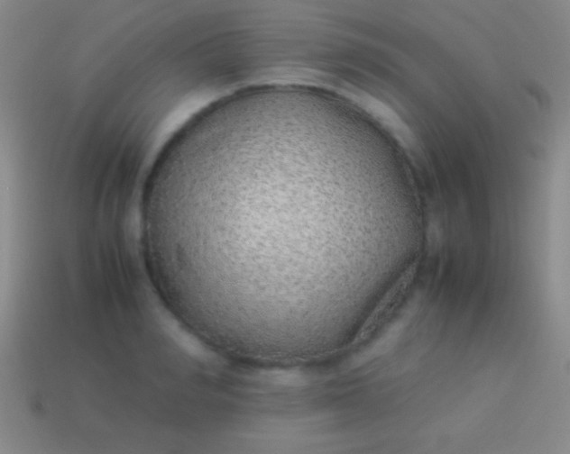 X0000114220990200910231439